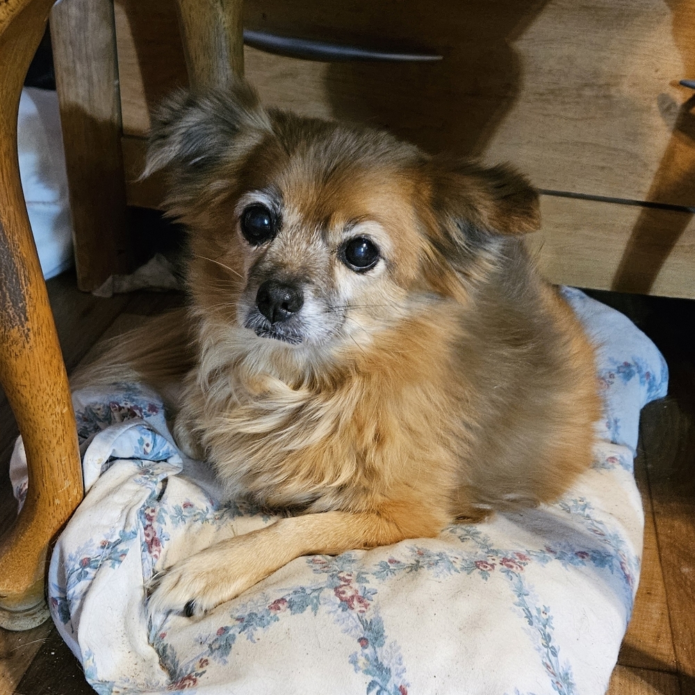 Meet your Posher, Wendy see our pictures - Picture 12 of 16